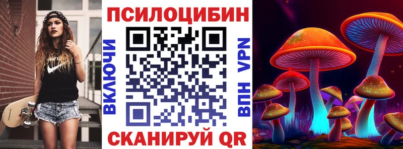 закладка Луга Псилоцибиновые грибы Psilocybe
